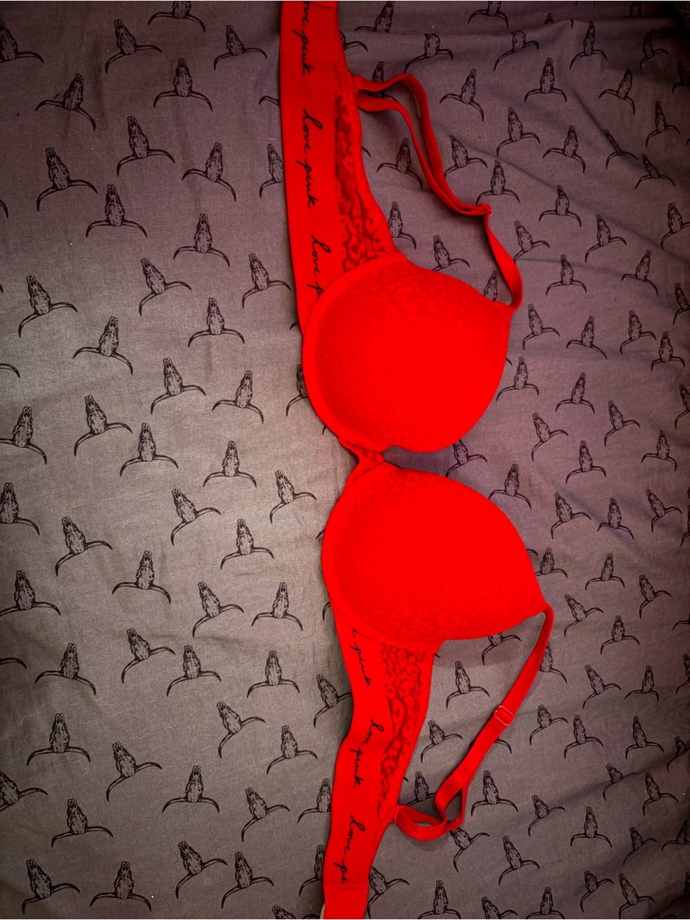 PINK Victoria's Secret Red Push-Up Bra with Script Band